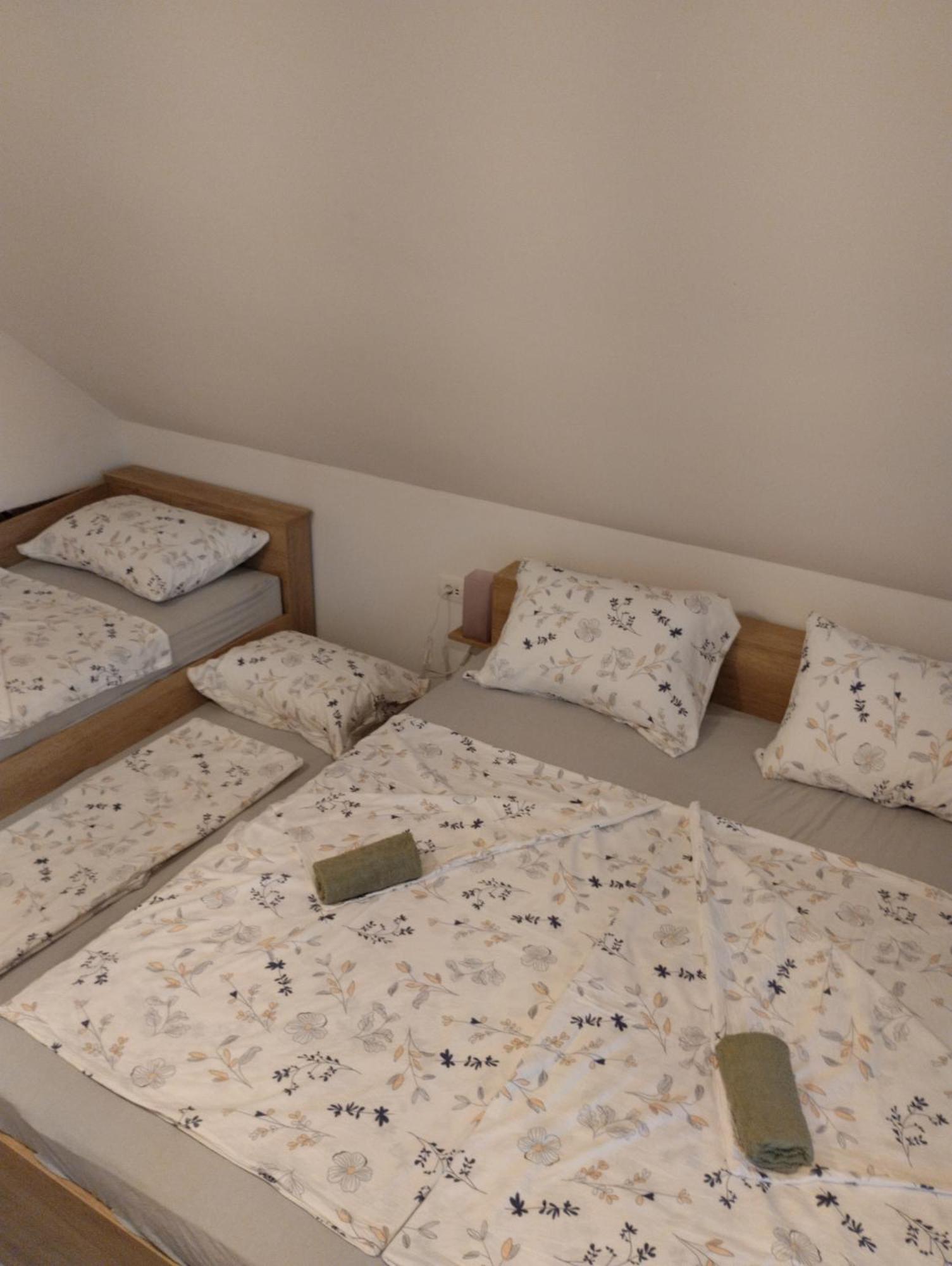 Apartma Sveti Duh 诺瓦沃什 外观 照片