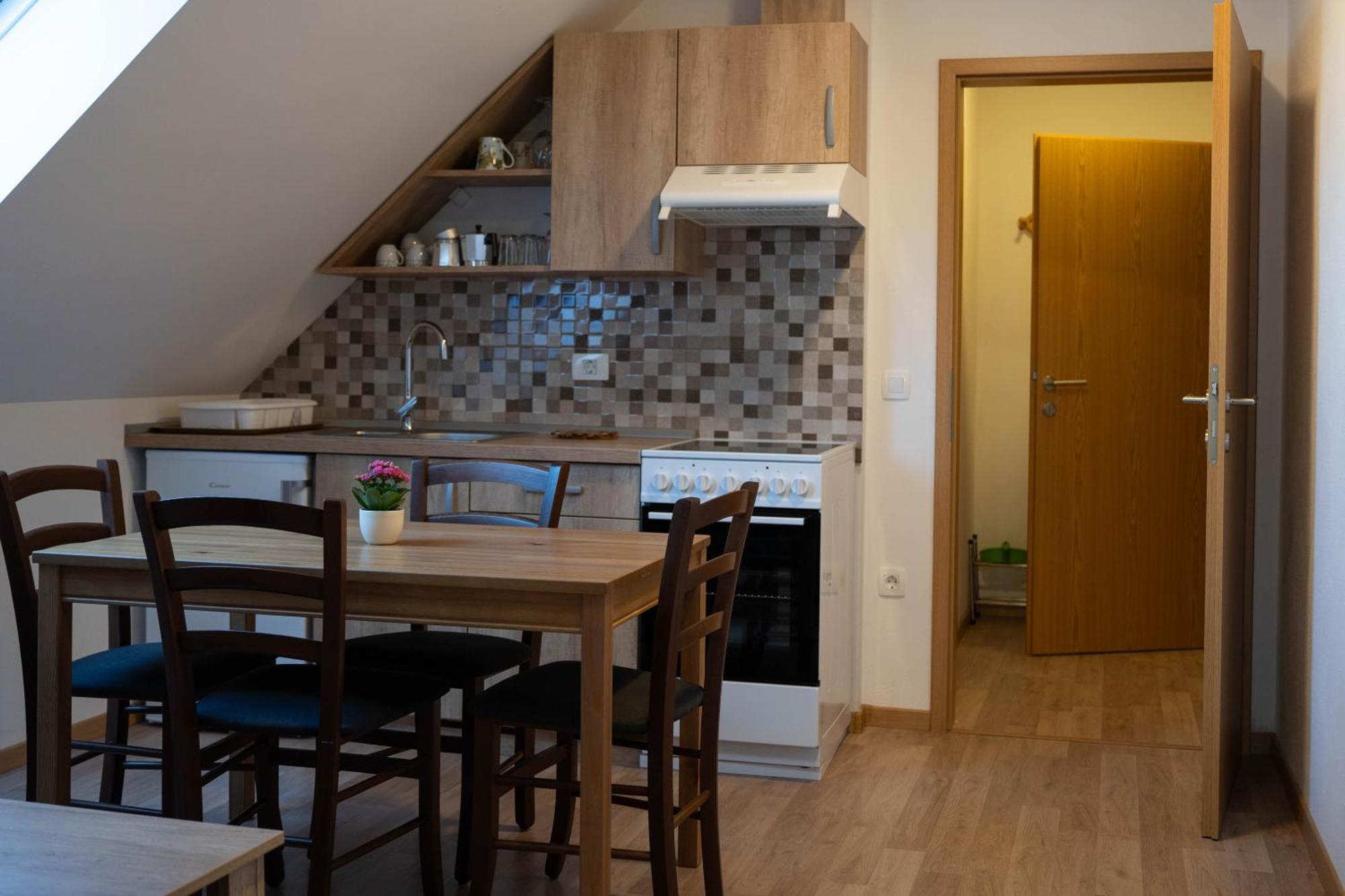 Apartma Sveti Duh 诺瓦沃什 客房 照片